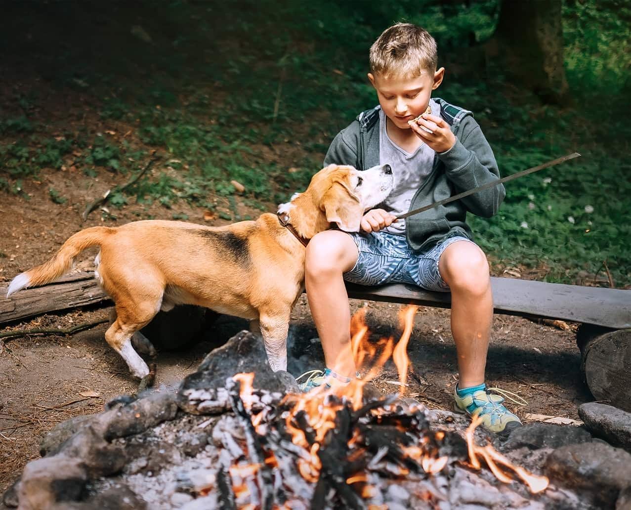 Boy sitting and eating with a stick next to firepit while beagle sniffs at food.