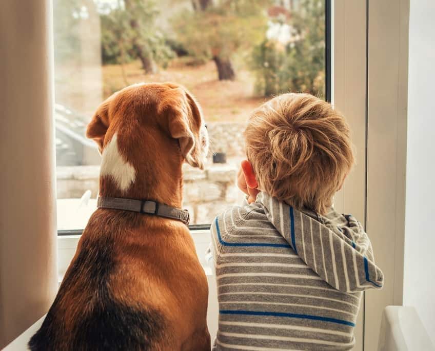 Small child and big dog looking through window