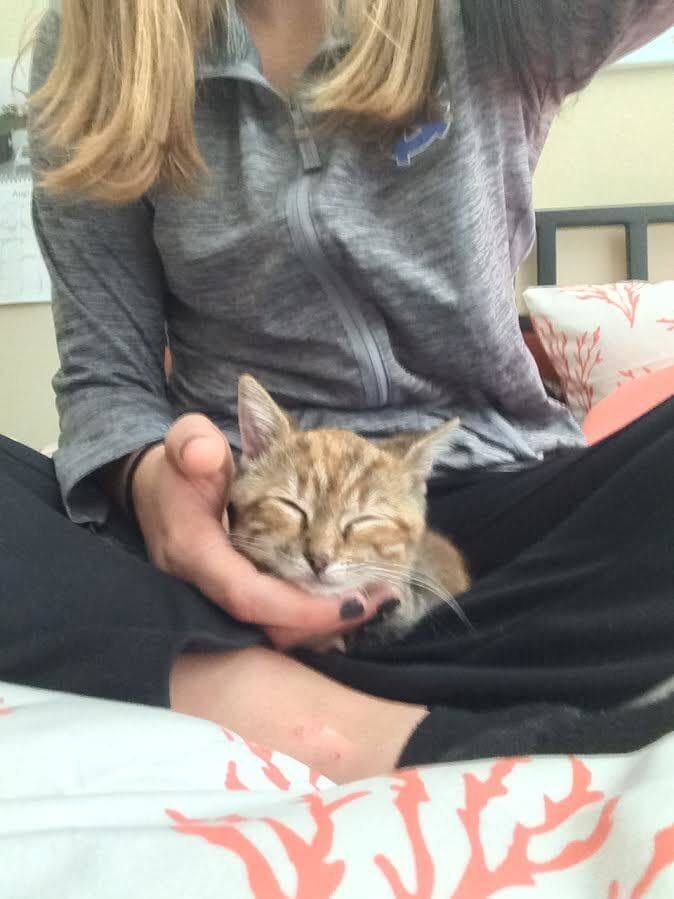 Kat sits in the lap of a girl.