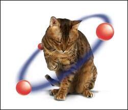 Cat Proteins