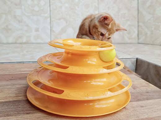 cream-colored kitten playing with a spiral ball tower interactive cat toy