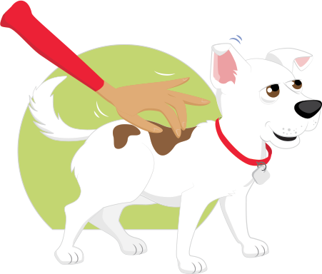 train him often to avoid any destructive behaviors