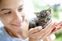 Handling kittens