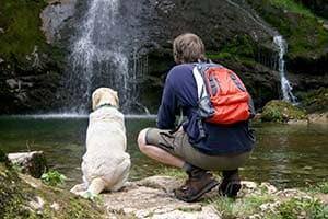 Man and dog sitting by waterfall