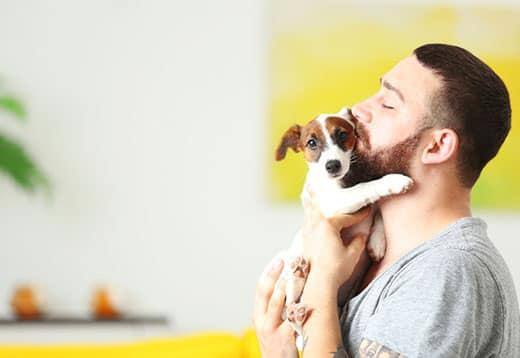 Man with a beard kisses a Jack Russell terrier puppy that he is holding in his arms.