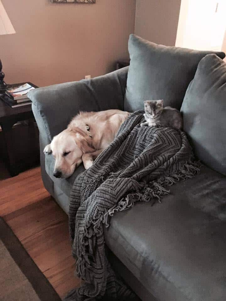 Molly and Hope