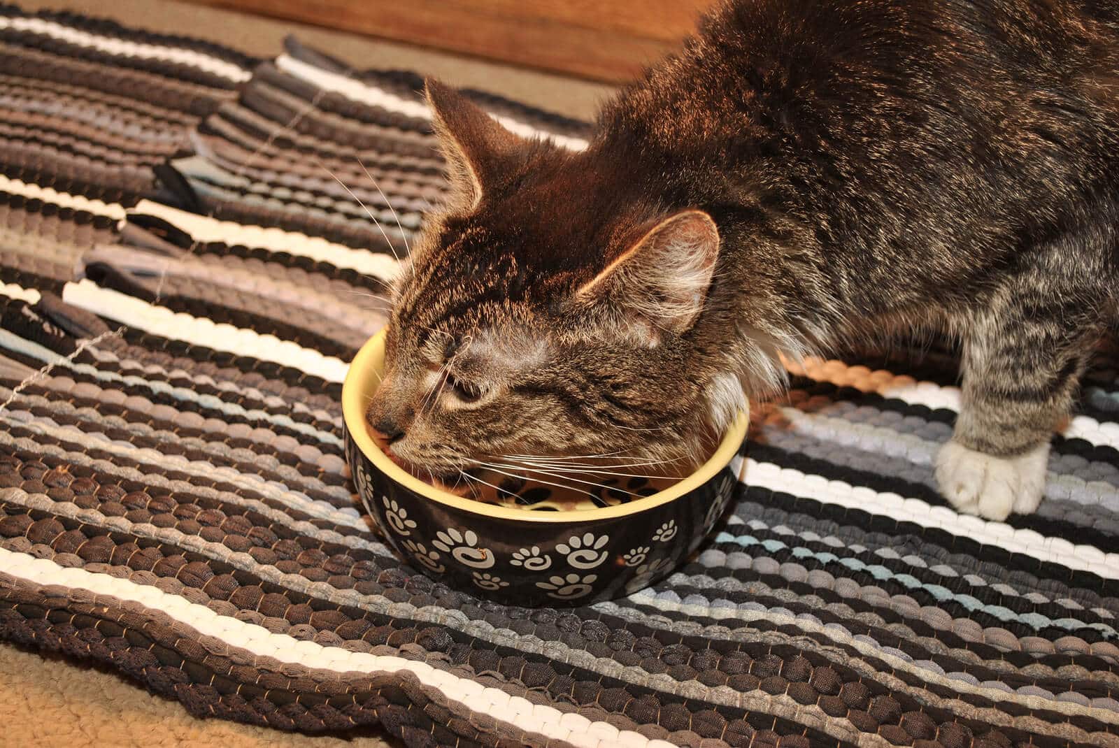 Long-haired tabby cat eats from her cat food bowl on a gray and black striped rug.