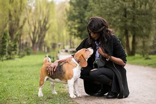 Woman bends down to pet beagle in the park.