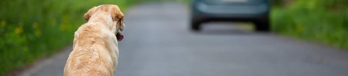initial
