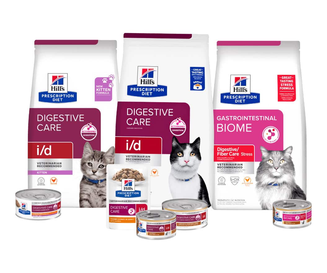 Prescription Diet Digestive care cat food