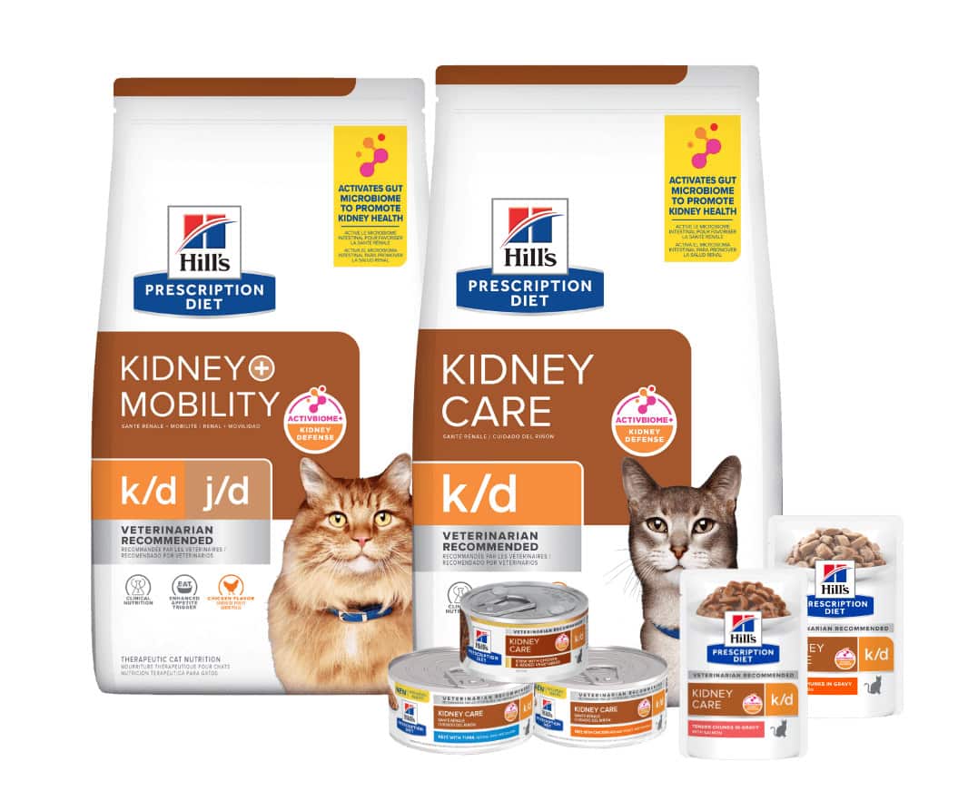 Kidney care cat food 