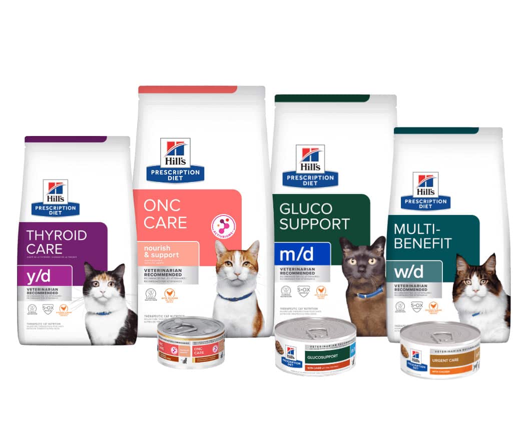 Other health conditions cat food