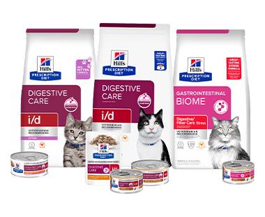Prescription Diet Digestive care cat food