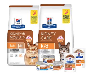 Kidney care cat food 