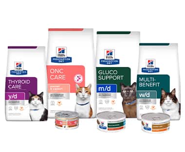 Other health conditions cat food