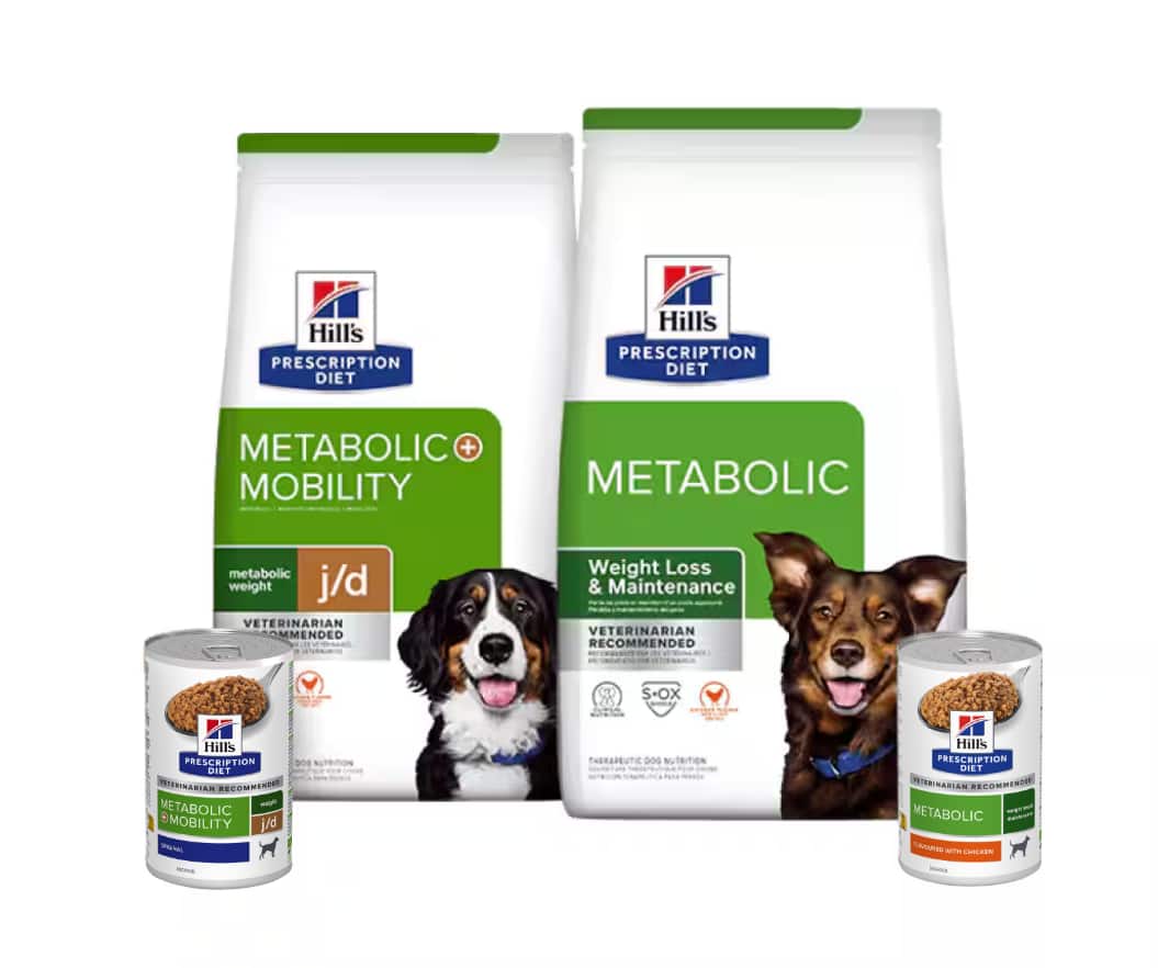 Prescription Diet Metabolic and Gluco Support
