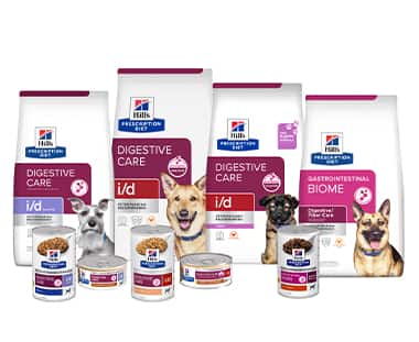 Prescription Diet Digestive care dog food