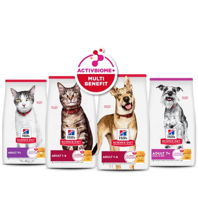 Hills Pet Foods