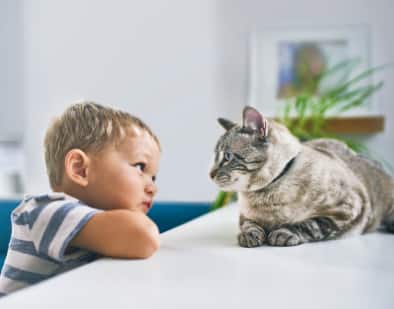 A young boy playing a kitten