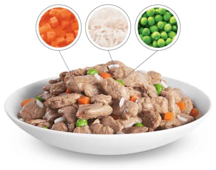 Food bowl