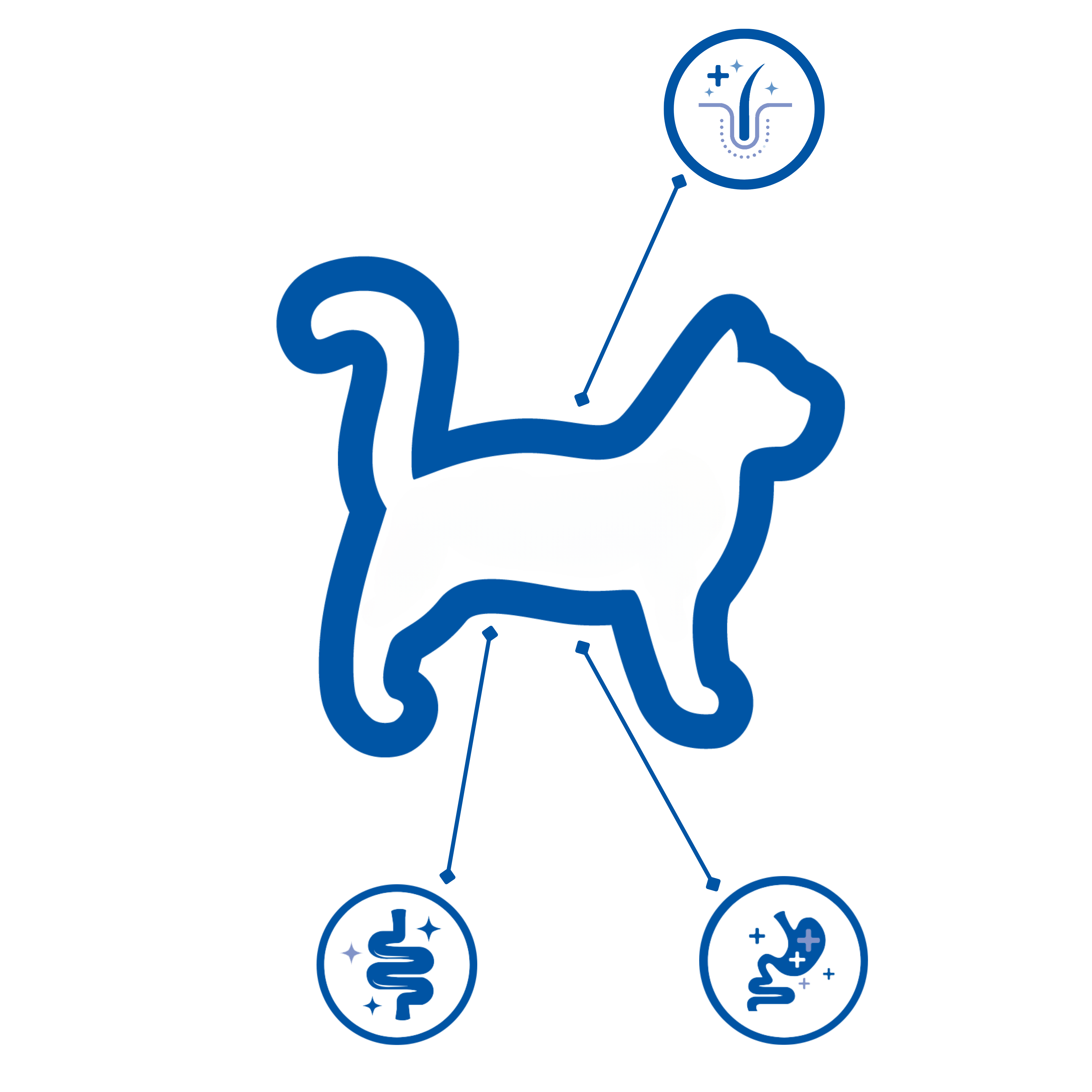 location of microbiomes on cat