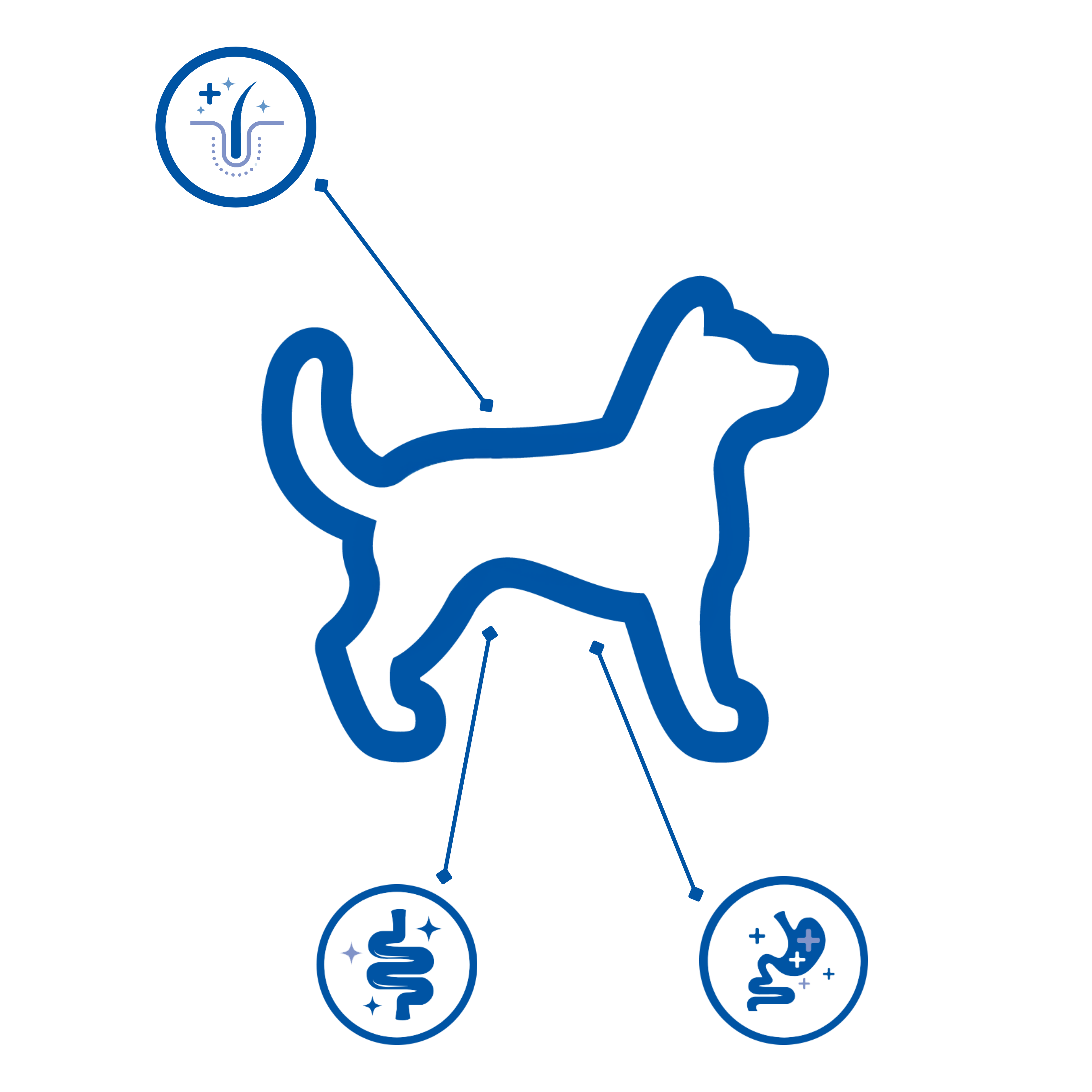 location of microbiomes on dog