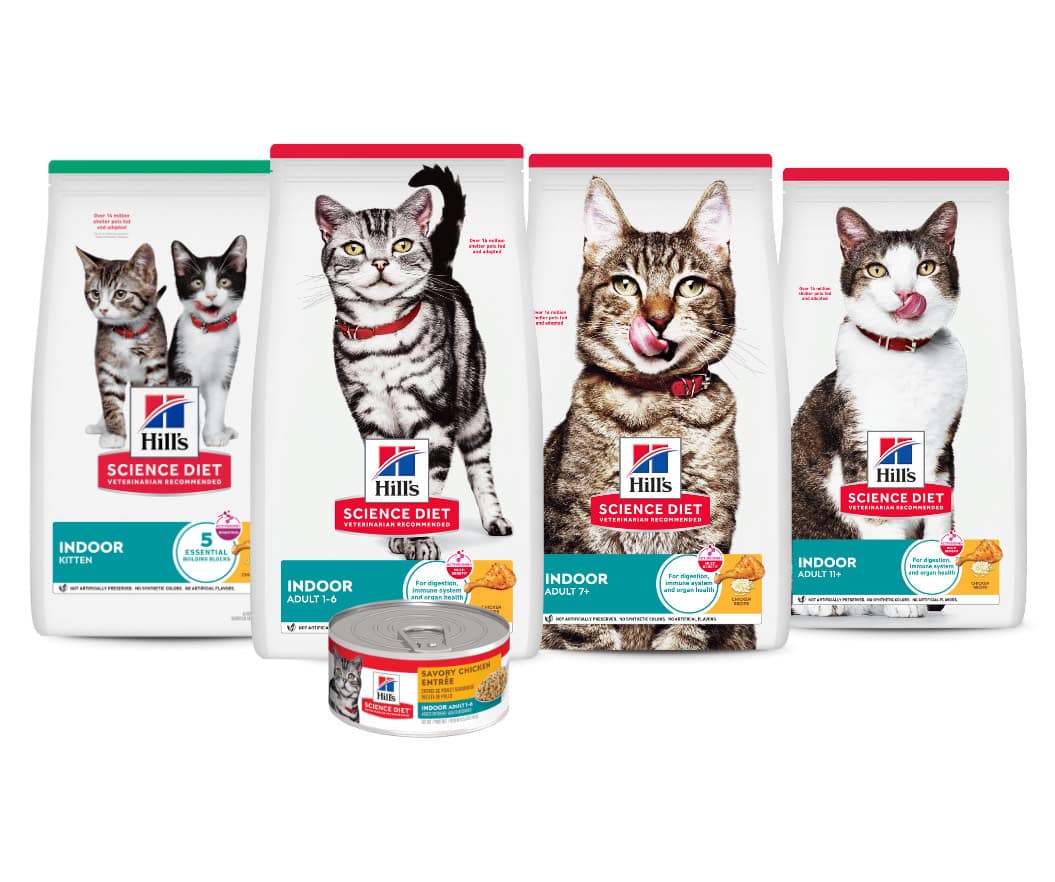 Science Diet Indoor cat foods
