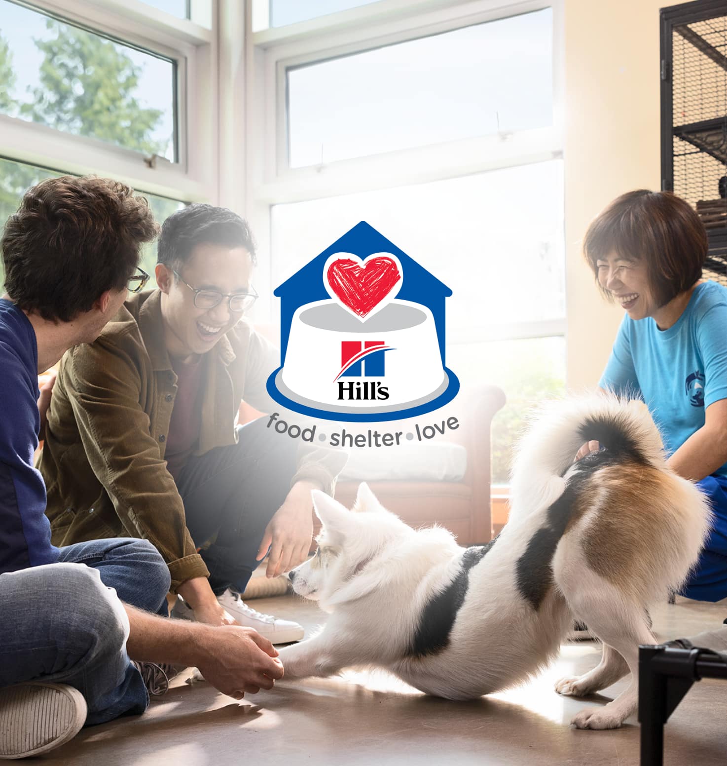 People playing with a dog in a Shelter 